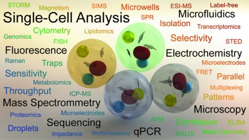 Single-cell analysis graphical abstract