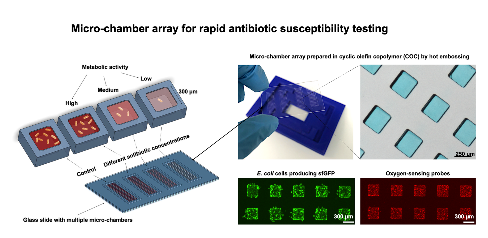 Diagnostics Bioanalytics Group ETH Zurich