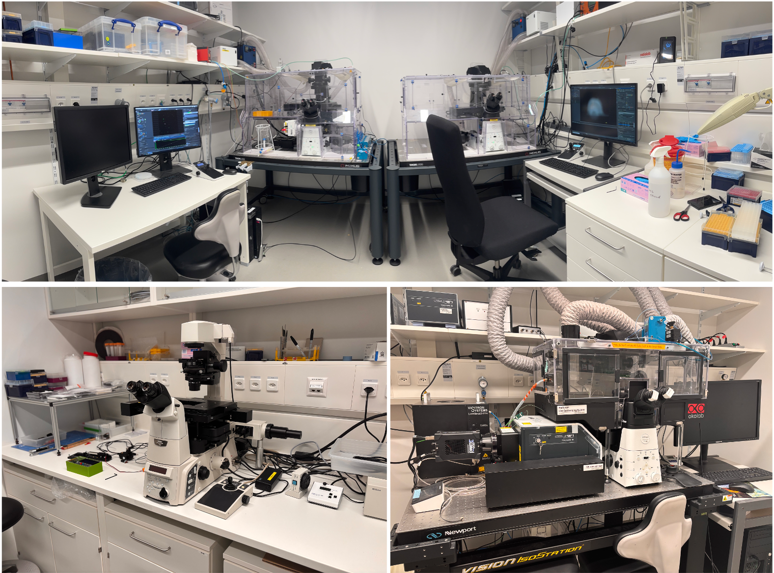 Enlarged view: Microscopy rooms