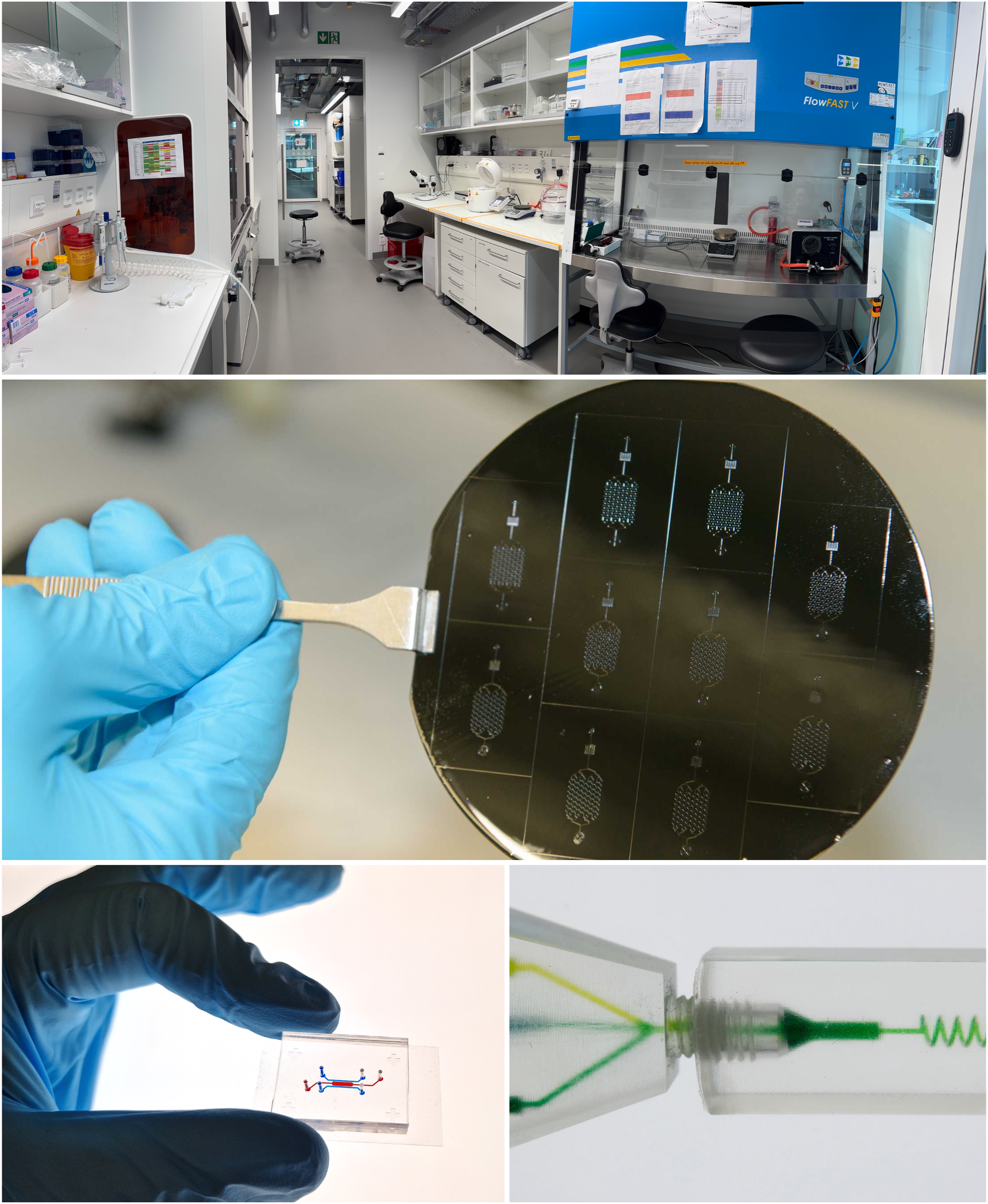 Enlarged view: Photographs of the PDMS room and a wafer, and chips